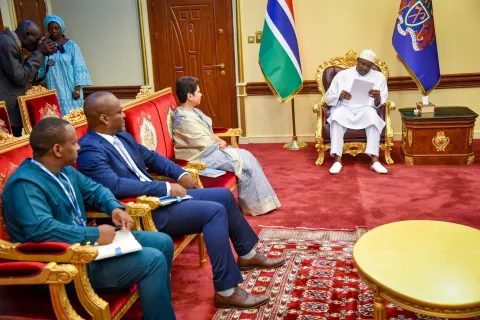 UNICEF The Gambia Country Representative meeting President of The Gambia.