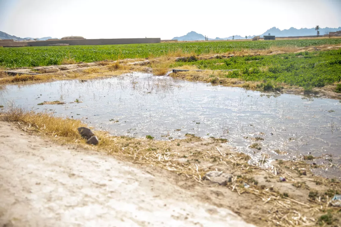 This was one of the unsafe water sources in Loy Kariz village before a solar-powered water supply was constructed. In the absence of safe water supply, children and families resort to using contaminated water sources, which can fuel disease outbreaks, particularly among young children.