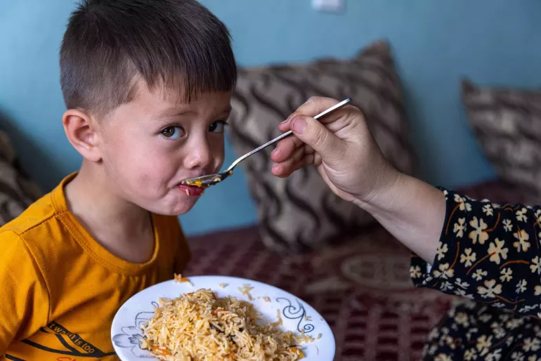 First Foods Afghanistan, Addressing Child Food Poverty and Malnutrition 2025&ndash;2028