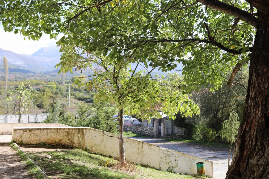 School yard