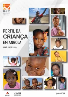 Perfil da Crian&ccedil;a em Angola IIMS 2023 - 2024