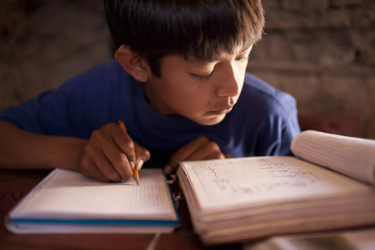 ni&ntilde;o leyendo