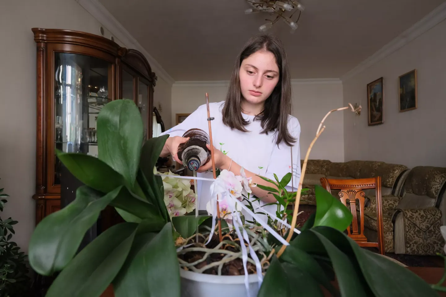 Աղջնակը ջրում է տանը տնային բույսը: 