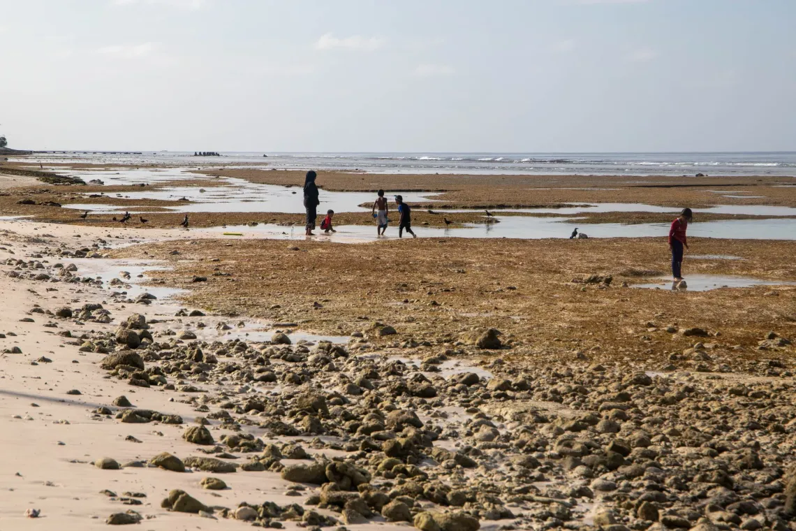 Children playing in a beach.