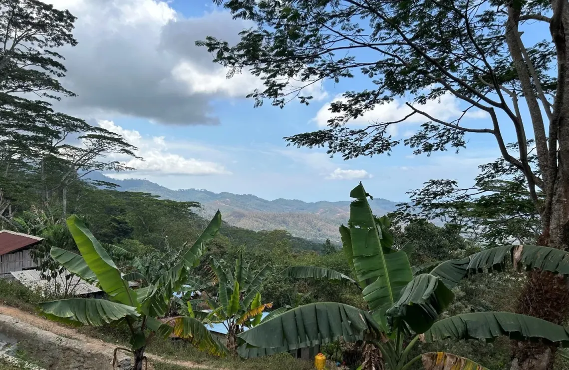 As we chatted, the conversation drifted from the calm beauty of Ermera to the harsh realities of life in the remote community of Ermera. 