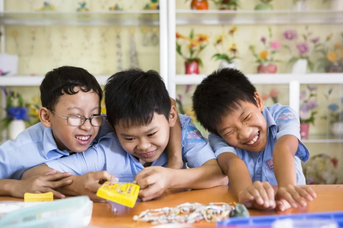 Inclusive Education Vietnam