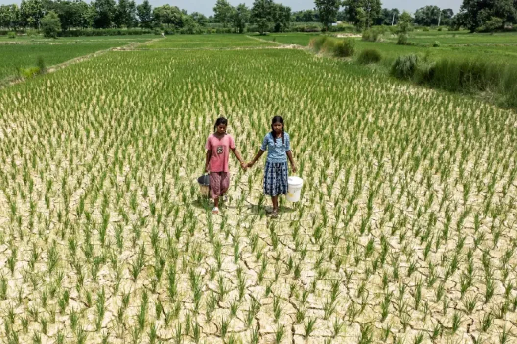 Two girls walk hand in hand through a dry rice field, carrying buckets.