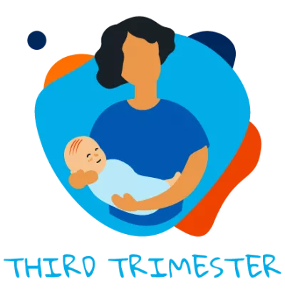 Third trimester