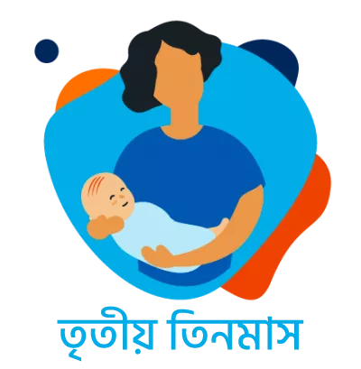 Third trimester
