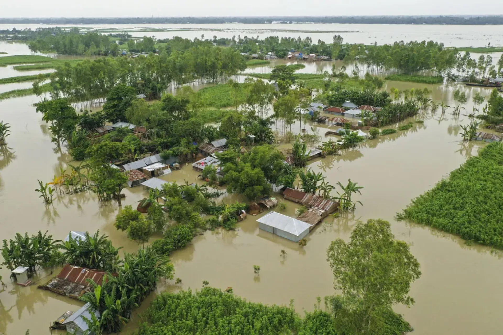 Flood