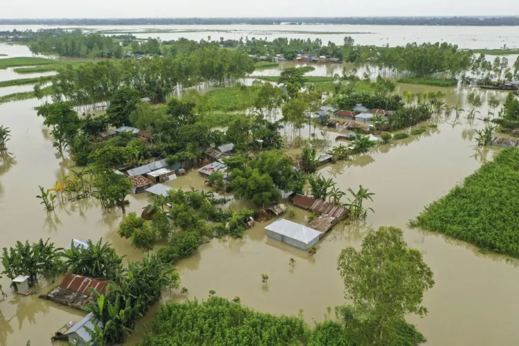 Flood