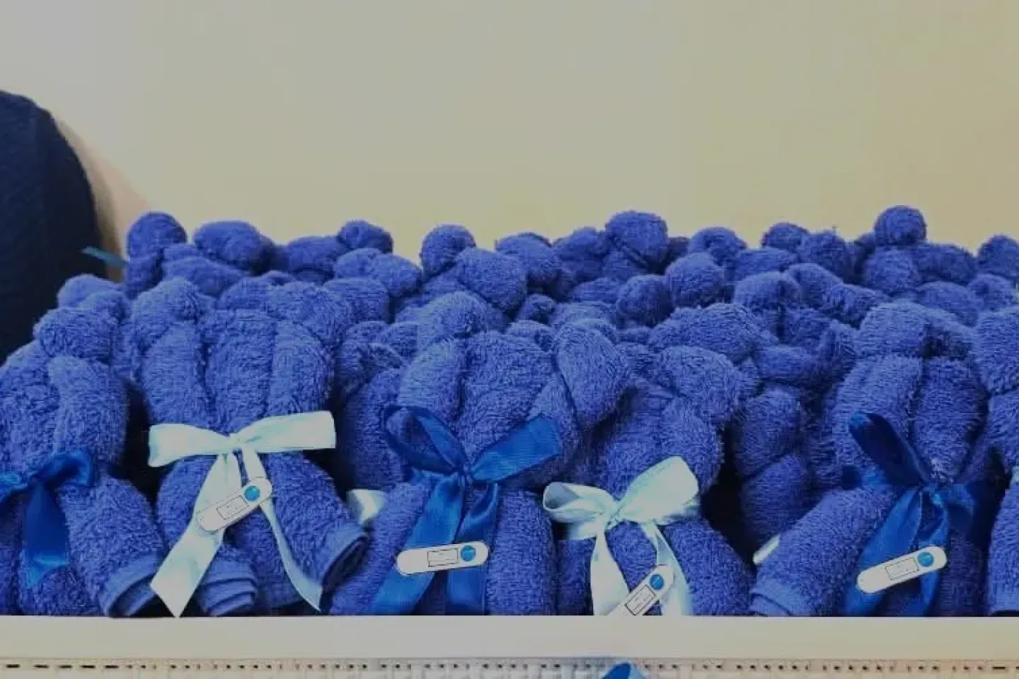 blue teddy bears