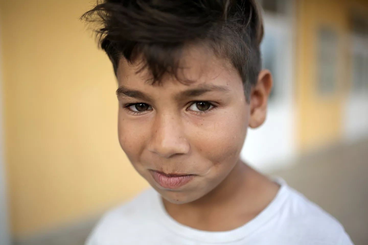 The Status of Roma Children and Families in Bosnia and Herzegovina
