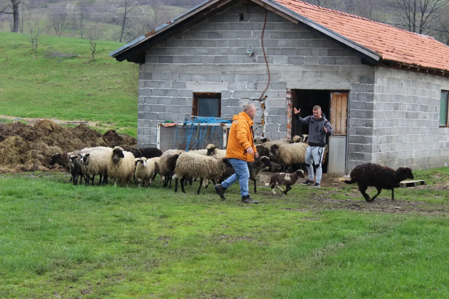 Grad Bihać prvi u BiH uspostavio model novčanih transfera za finansijsku pomoć ljudima u potrebi