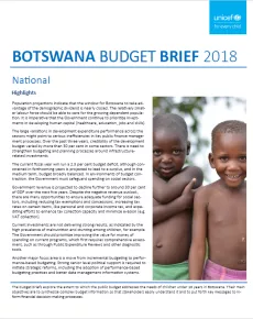 National Budget Brief Cover