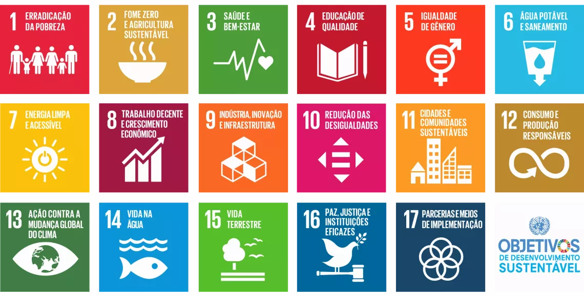 Objetivos de desenvolvimento sustent&aacute;vel