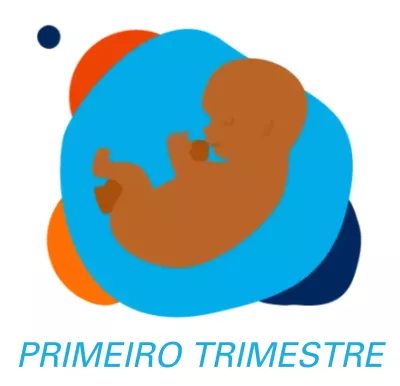 primeiro trimestre