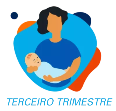terceiro trimestre