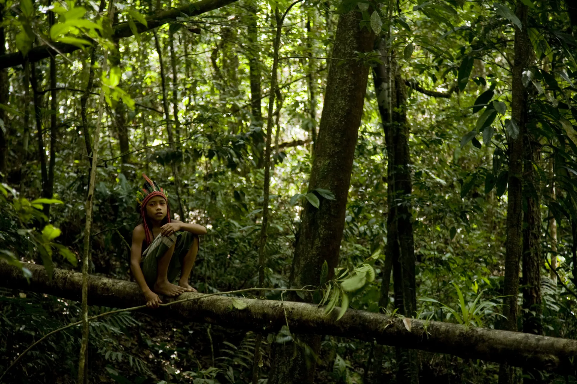 Foto mostra um menino indígena no meio da Floresta Amazônica