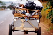 crian&ccedil;a em carro&ccedil;a de lixo