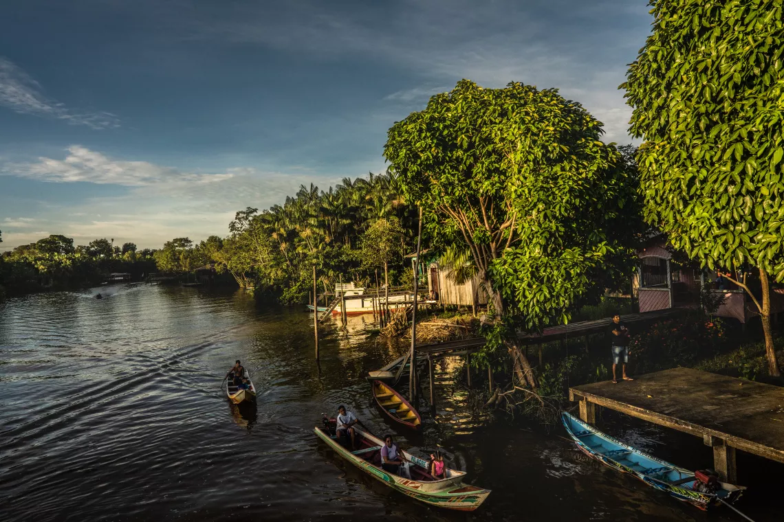 Foto mostra a floresta, o rio e barcos chegando para atracar no cais