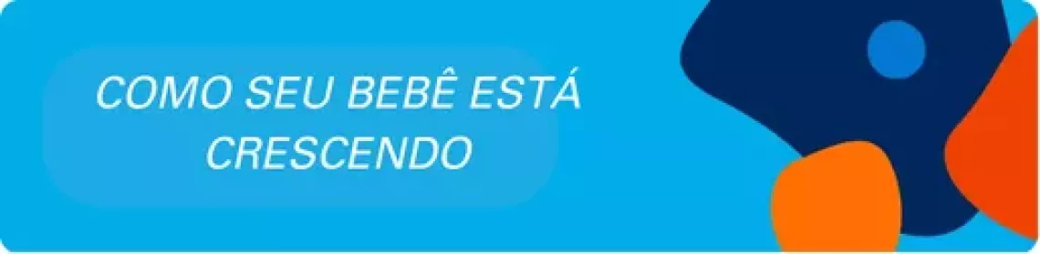 Como seu beb&ecirc; est&aacute; crescendo