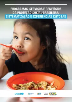 PROGRAMAS, SERVI&Ccedil;OS E BENEF&Iacute;CIOS DA PROTE&Ccedil;&Atilde;O SOCIAL BRASILEIRA: SISTEMATIZA&Ccedil;&Atilde;O E EXPERI&Ecirc;NCIAS EXITOSAS