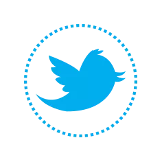 Twitter bird cyan icon