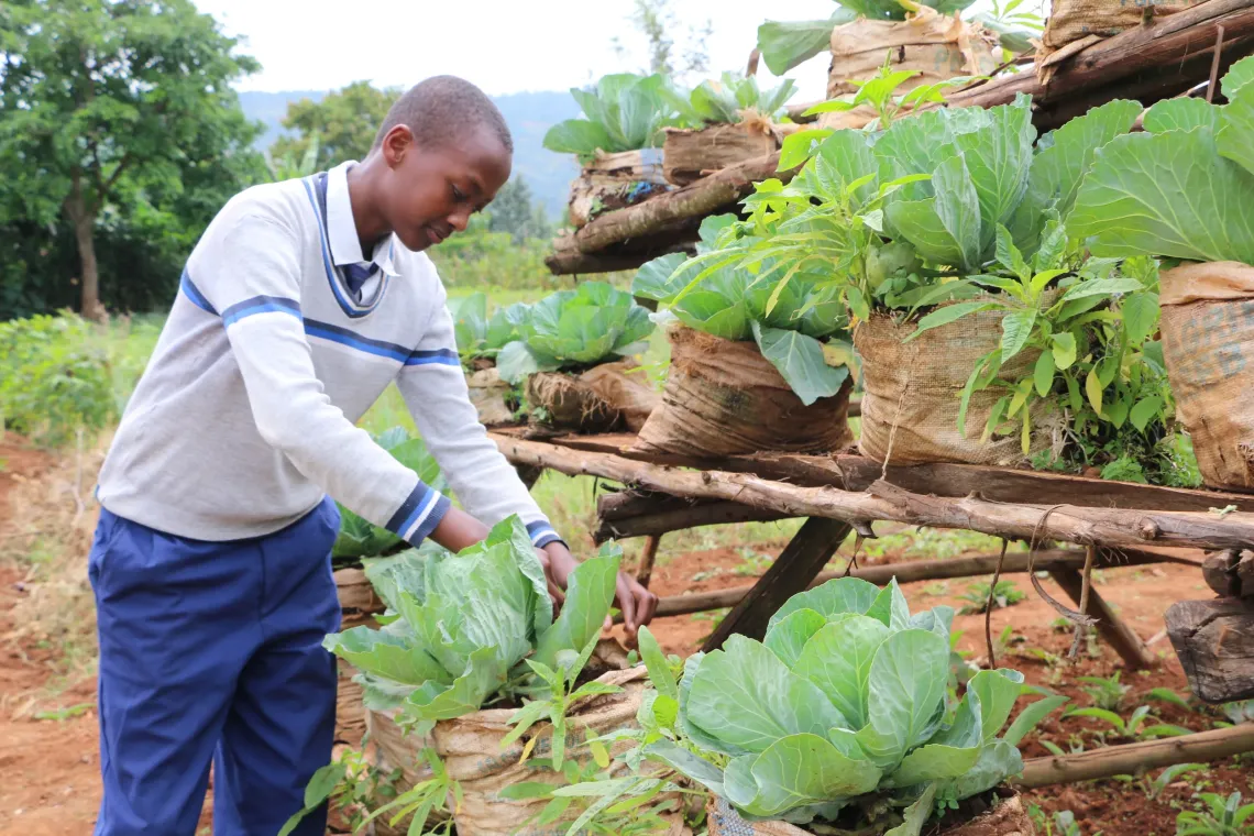 Sage Marie Auribel Dushime, a 9th-grade student at Musenyi Excellence School, tends to cabbage grown using the tower and sack farming technique learned through the CREATABLE project.