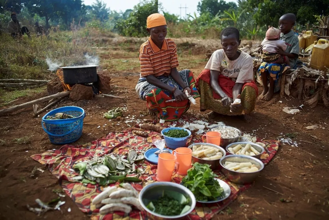 Good nutrition is critical to support the rapid growth and development of babies and young children.