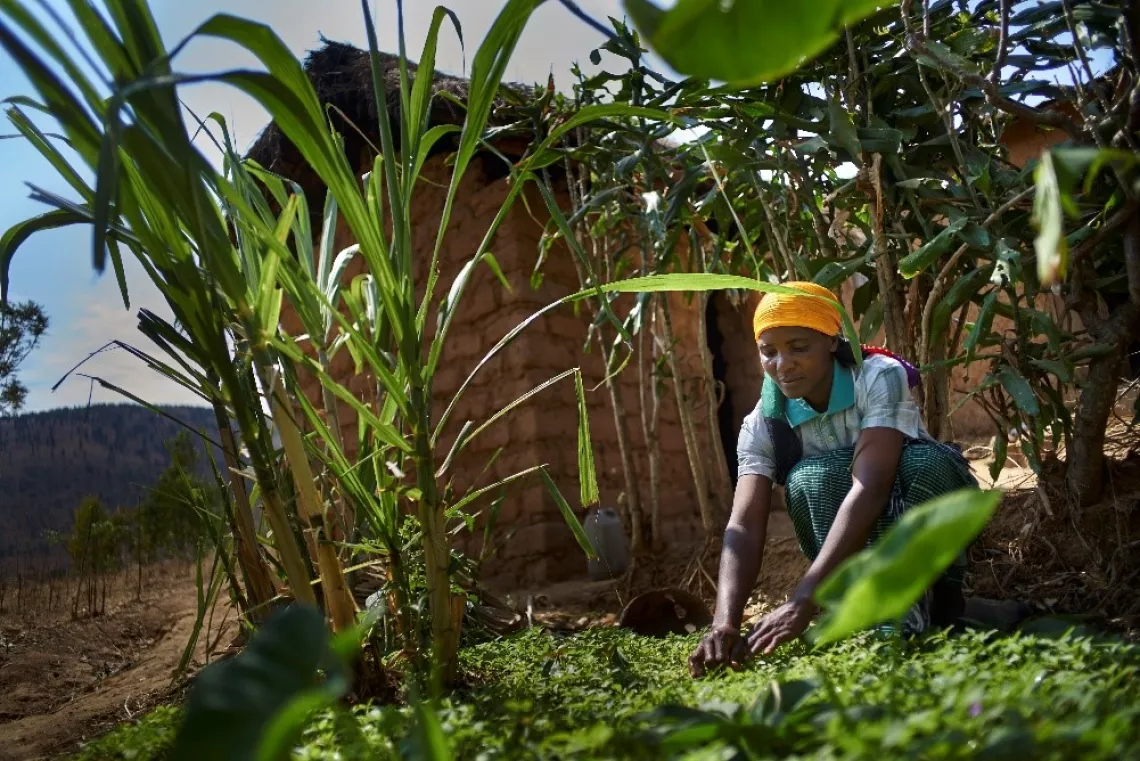 Gregone, a Community Health Worker supports her family through agriculture.