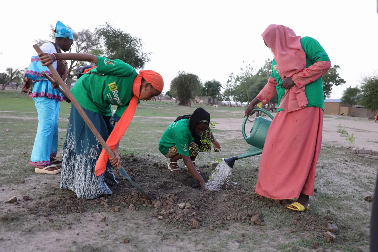 Les adolescentes de l'UNICEF plantent des arbres dans une &eacute;cole primaire &agrave; Maroua