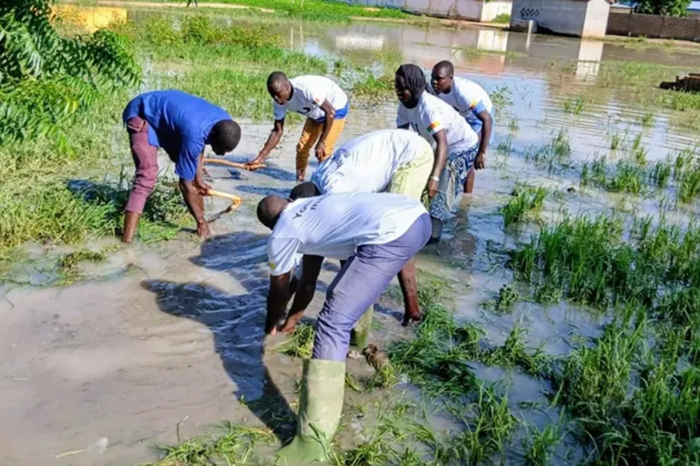 construtctions d'une diguette par les U-Reporters de Kai Kai