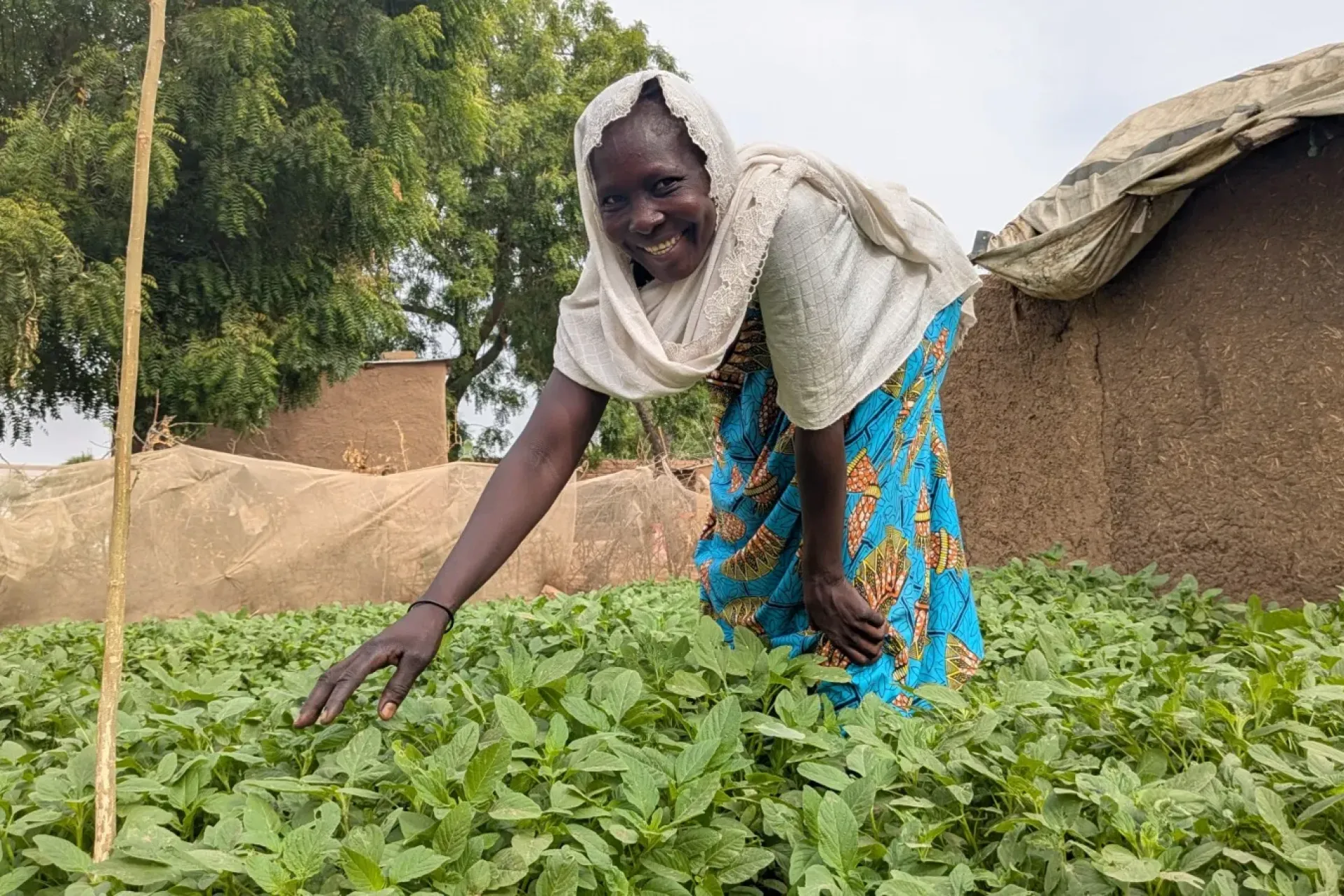 Une femme dans son potager &agrave; Kawaldi