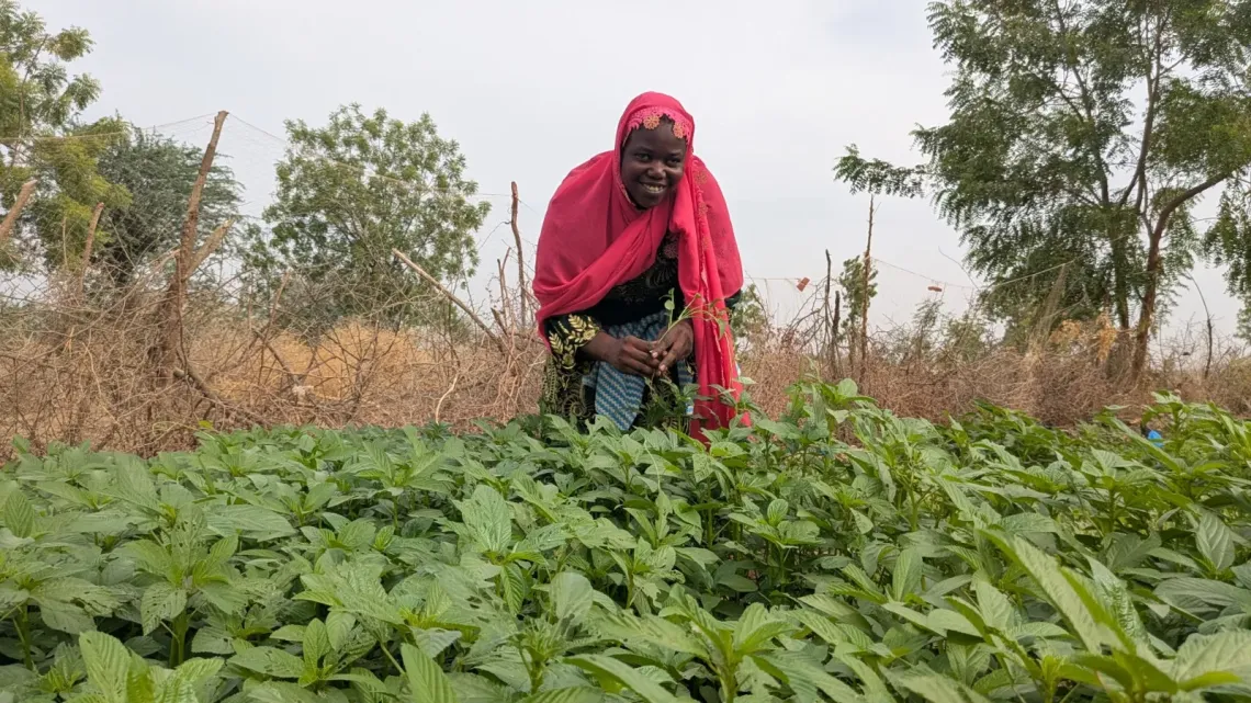 Une femme dans son potager &agrave; Kawaldi