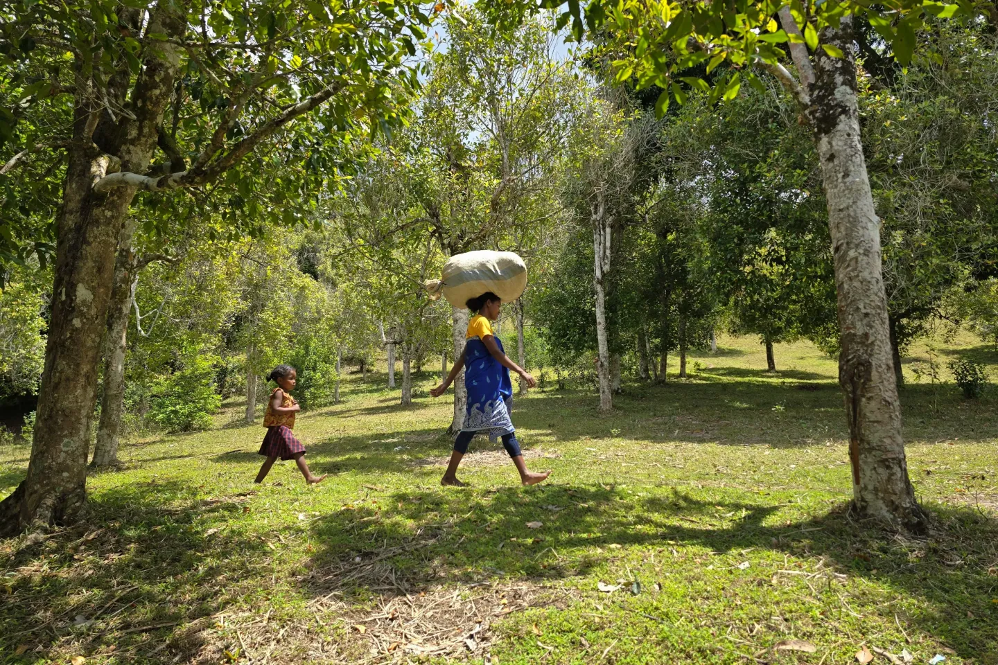 Claudia and her 5-year-old daughter, Edmina, on the path leading to the distillation unit where she will transform clove leaves into essential oil to sell