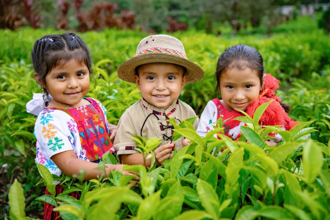Children with their mothers participate in a workshop about early child development (ECD) organized by the Comprehensive Child Development Community Centre (CECODII), a UNICEF supported centre in Chirrepec, Alta Verapaz, Guatemala.