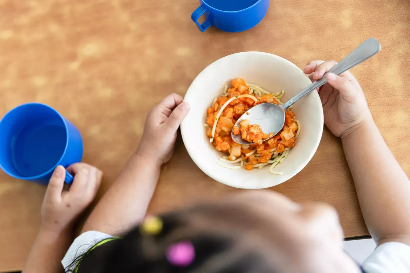 Carga de enfermedad y econ&oacute;mica del sobrepeso y la obesidad