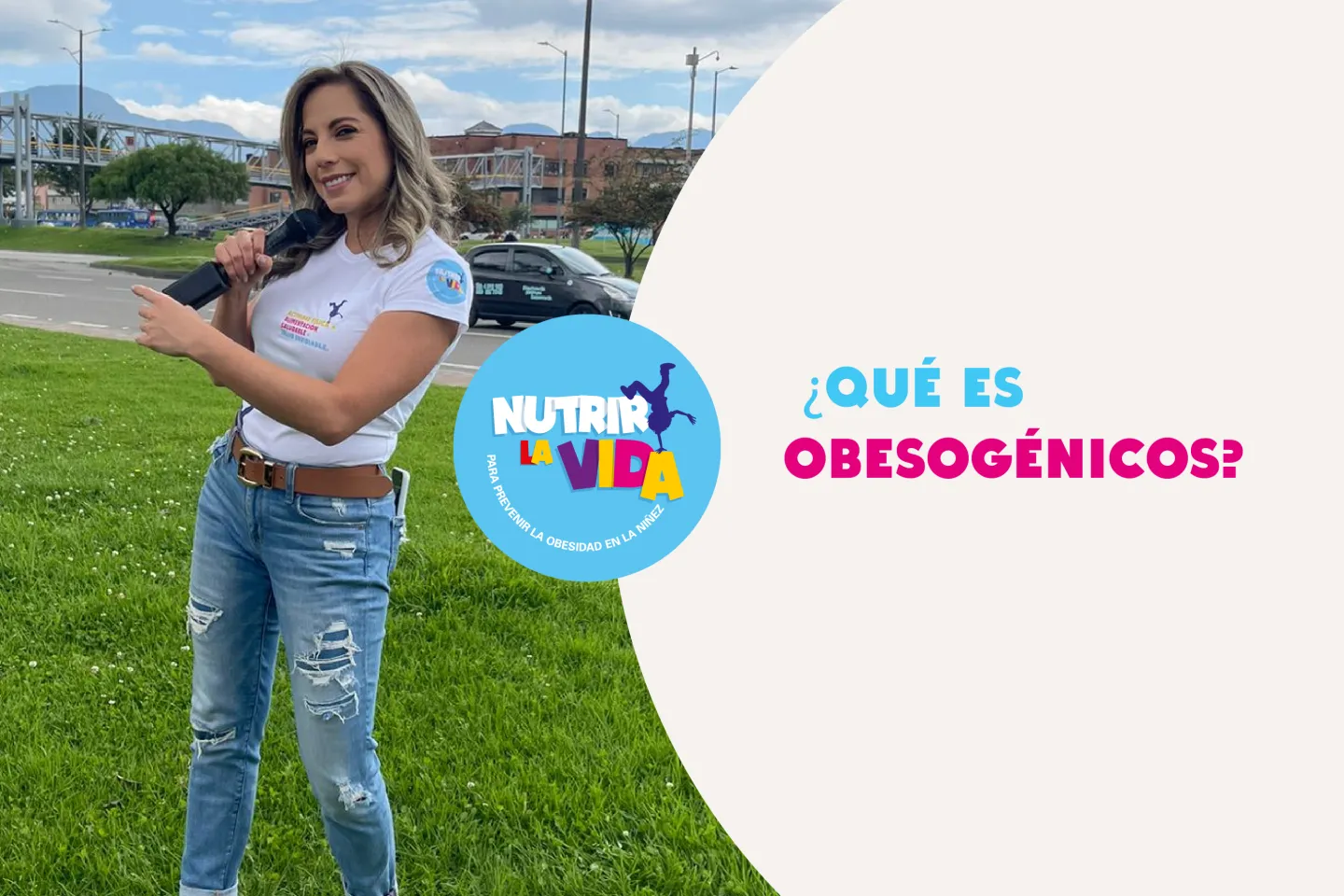 &iquest;Qu&eacute; es obesog&eacute;nicos?