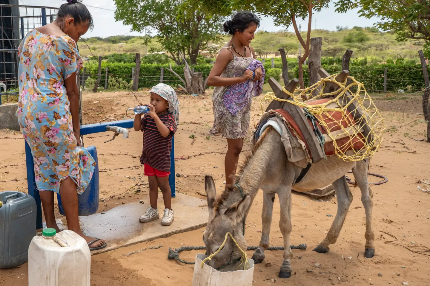familias recolectan agua en el desierto de La Guajira