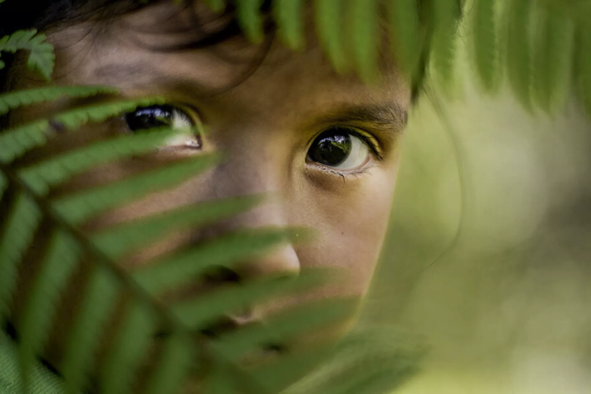 Unicef Colombia