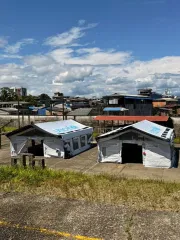 carpas