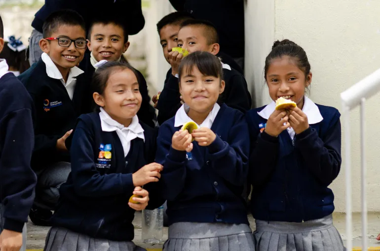  En Am&eacute;rica Latina y el Caribe, el 30% de los ni&ntilde;os y ni&ntilde;as entre 5 y 19 a&ntilde;os tienen sobrepeso
