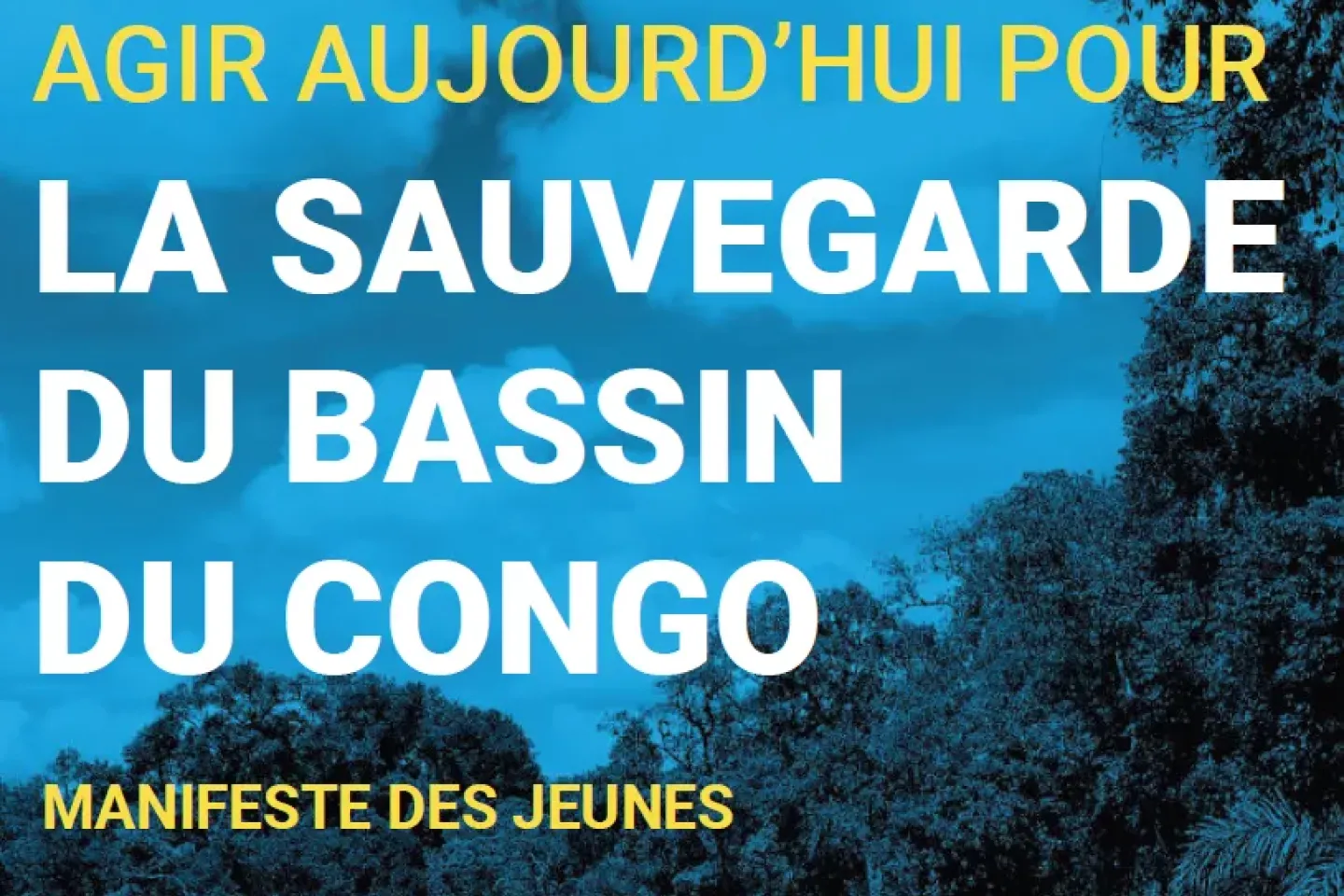 Manifeste des Jeunes pour la sauvegarde du Bassin du Congo