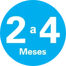 2 a 4 meses