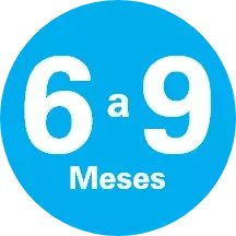 6 a 9 meses