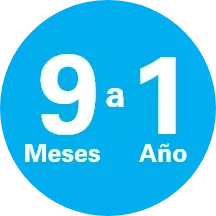 9 meses a 1 a&ntilde;o