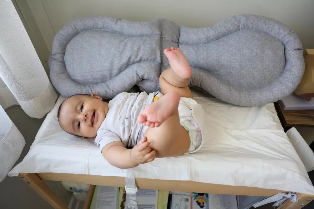 De 4 a 6 meses