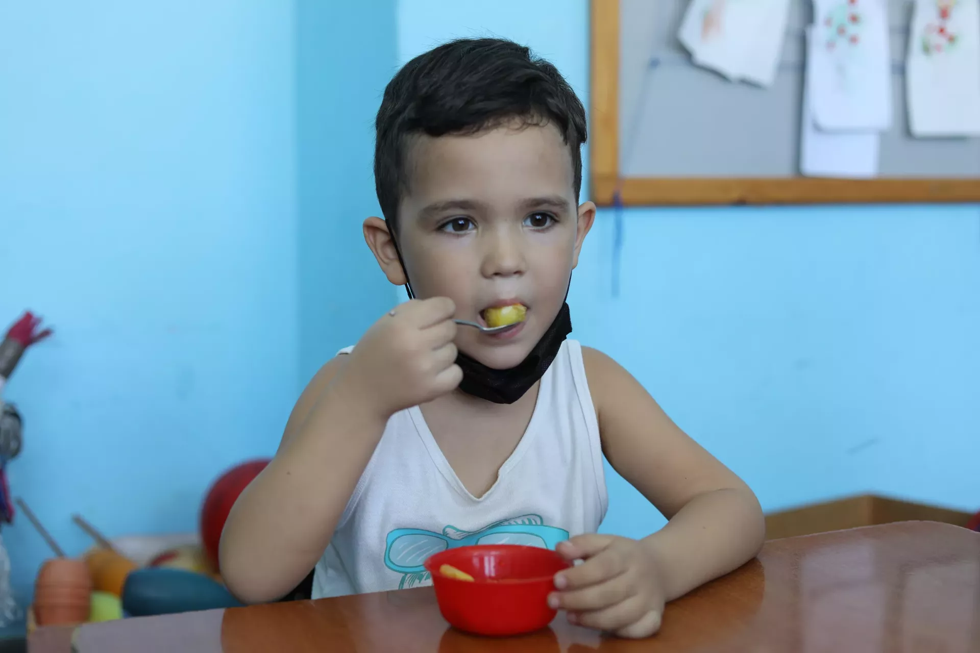 Nutrici&oacute;n saludable
