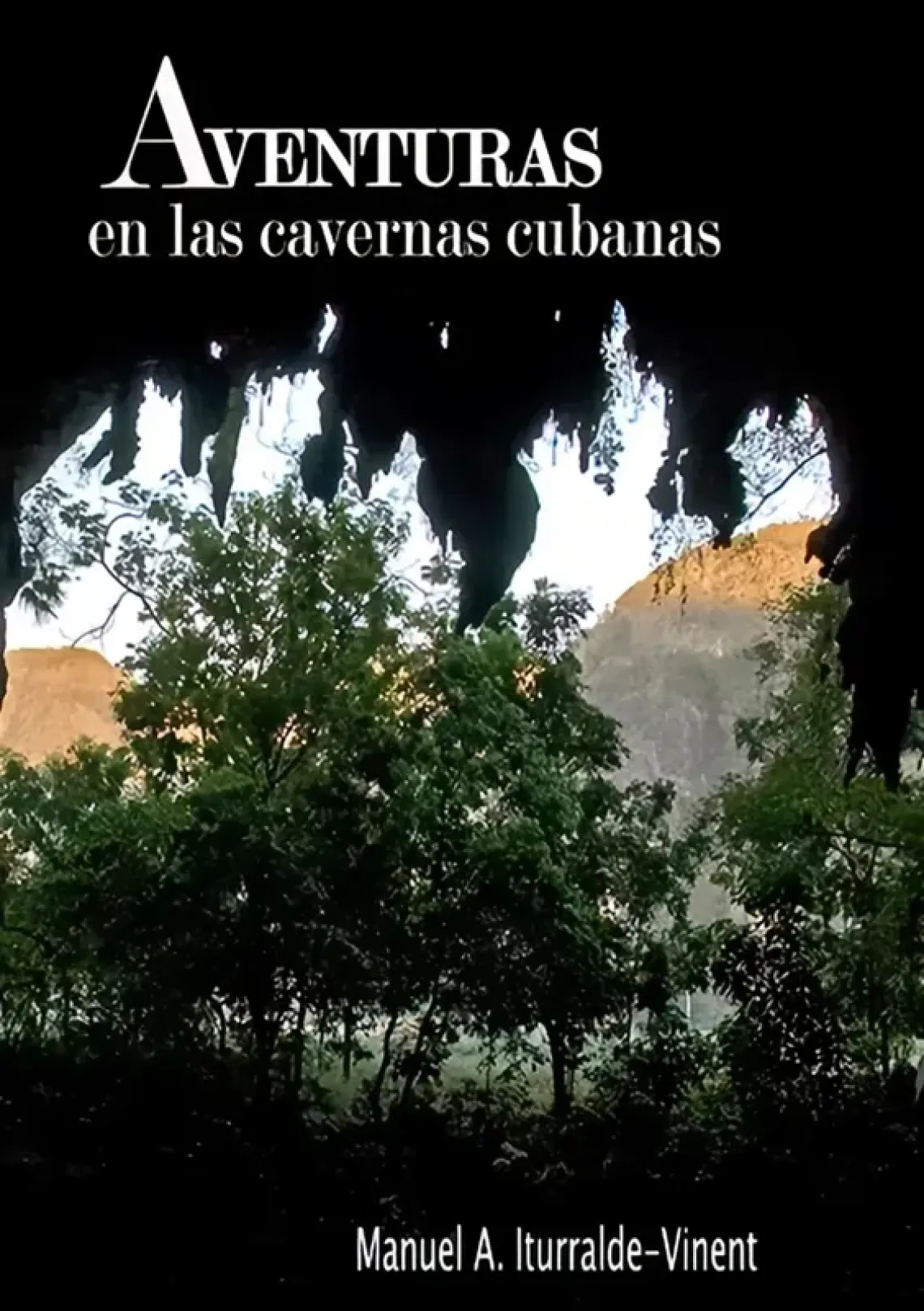 El autor escribi&oacute; este libro pensando en la obra anecd&oacute;tica que le hubiera gustado leer en su juventud 